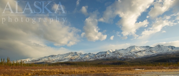 Looking out at the Eastern Alaska Range, west of Tok.