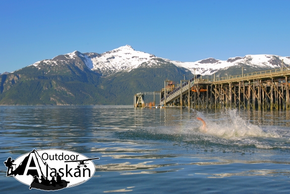 Port Chilkoot is a popular place around Haines to go swimming to escape the heat, even while snow remains on Mount Villard. Taken June 2, 2009.