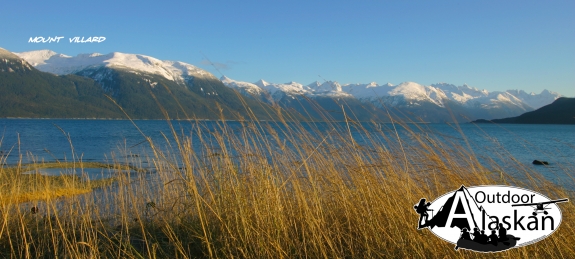 Afternoon sun on the grass along the shores of Port Chilkoot. Looking across Lynn Canal at Mount Villard.