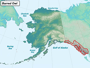 Habitat of Barred Owl in Alaska