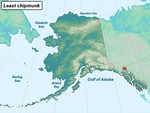 Habitat of Chipmunks in Alaska