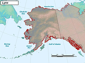 Habitat of Canada Lynx in Alaska