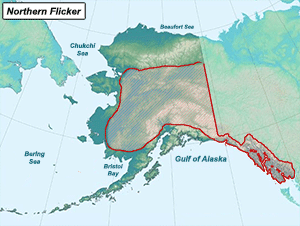Habitat of Northern Flicker in Alaska