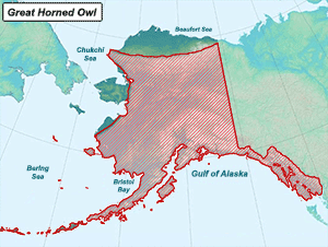Habitat of Great Horned Owl in Alaska