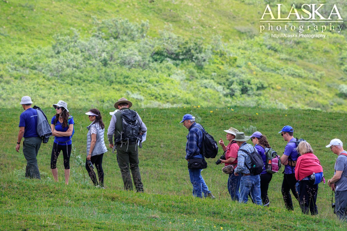 A group takes a guided tour from a park ranger in Denali National Park and Preserve.