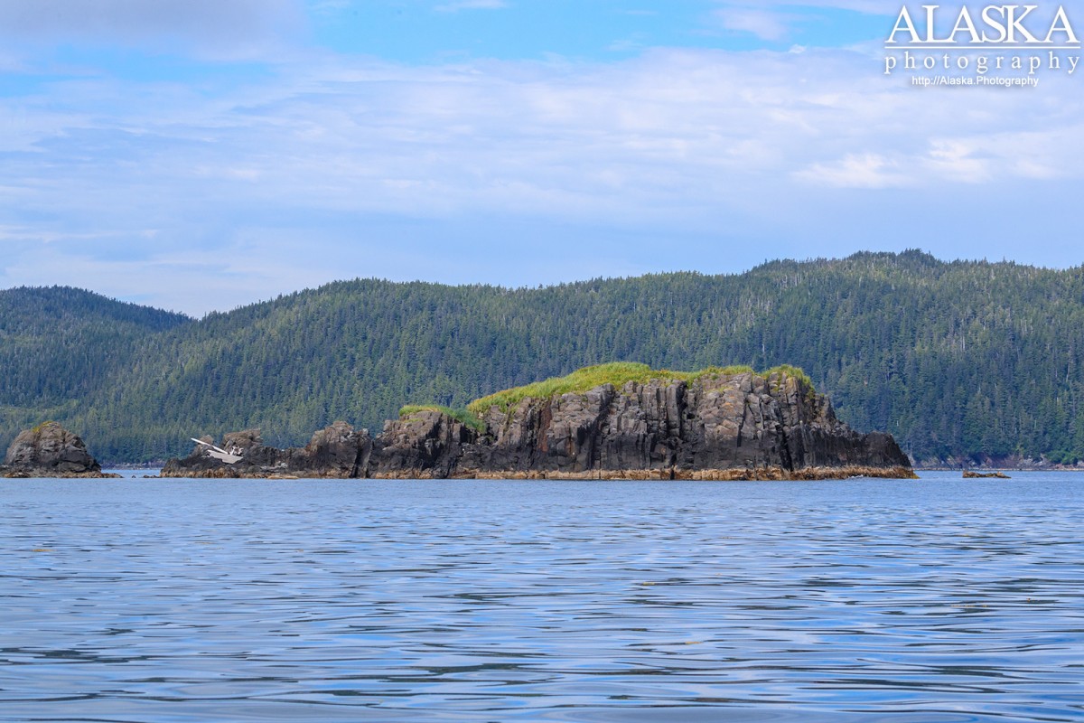 Elk Head Point of Peak Island in front of Storey Island in Prince William Sound.