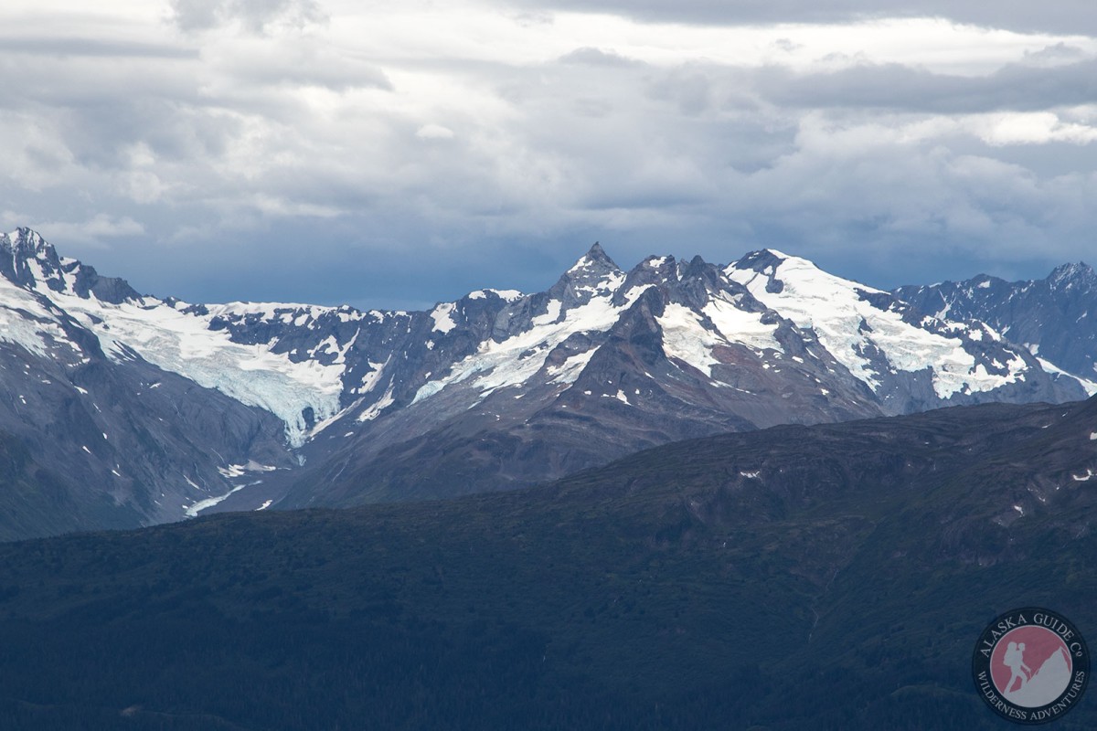 From left to right; Glacier G214001E60962N, Glacier G213962E60977N, Glacier G213942E60986N, Glacier G213944E60979N, and Glacier G213958E60963N.