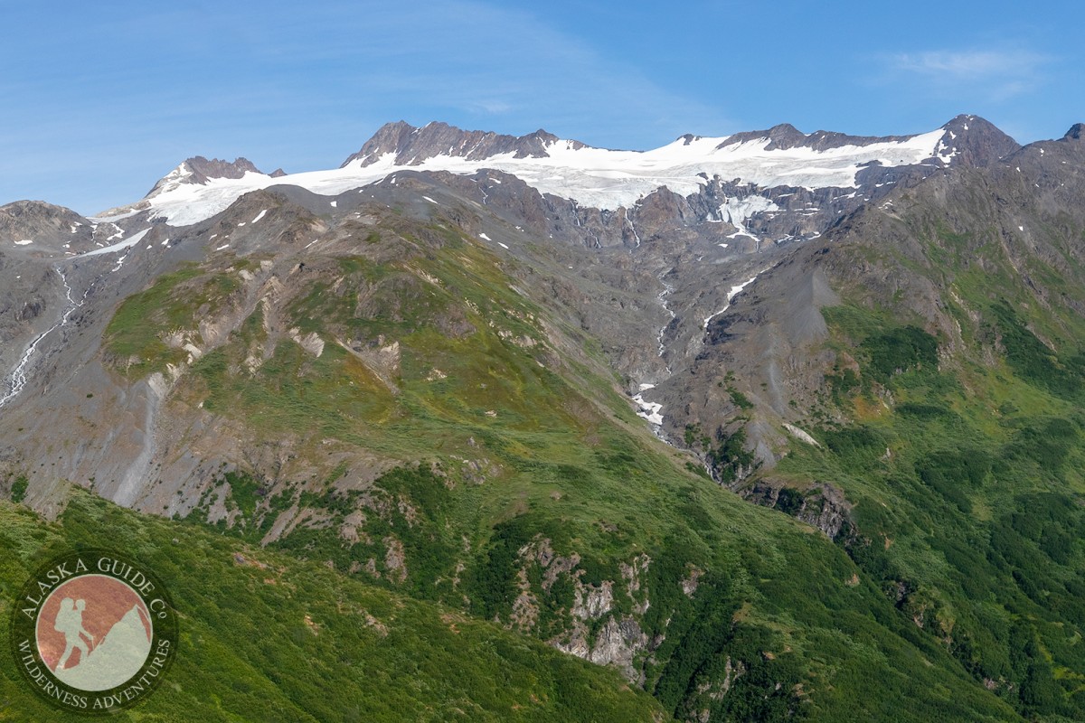 Glaciers G214324E61260N and G214304E61253N in the Chugach Mountains.