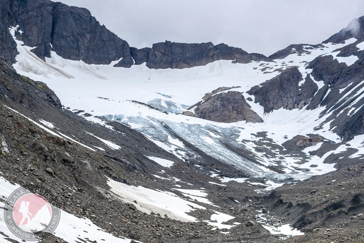 Kate Glacier; July 2020