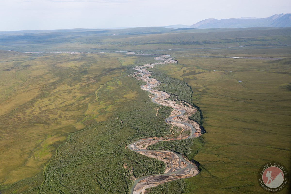 Pogopuk Creek as it joins Kavik River.