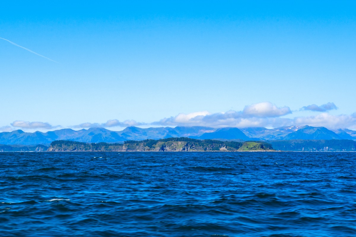 The largest of Wooded Islands off Montague Island in the Gulf of Alaska.