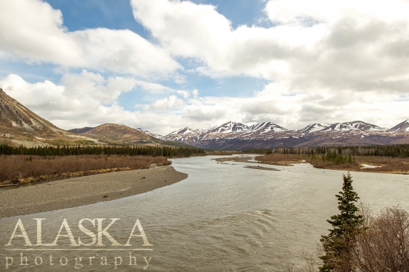 The Nenana River as it passes by Panorama Mountain.