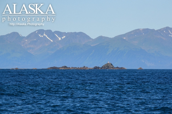 Seal Rocks in the Northern part of the Gulf of Alaska.