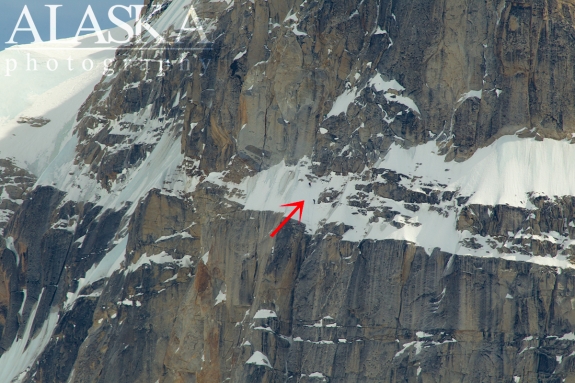 A pair of climbers rappels down Moonflower Buttress, on Mount Hunter.