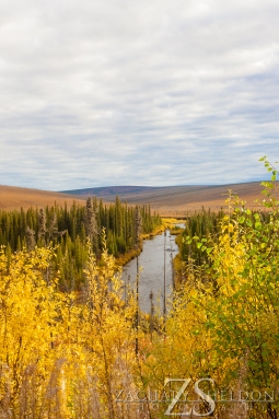 About a mile before Nome Creek enters Beaver Creek. Take Sept 7, 2013.
