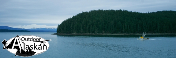 On the morning ferry up Lynn Canal, sweeping past Coghlan Island. Taken Feb 09, 2007.