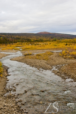 Looking east up the head waters of Nome Creek. Taken Sept 7, 2013.