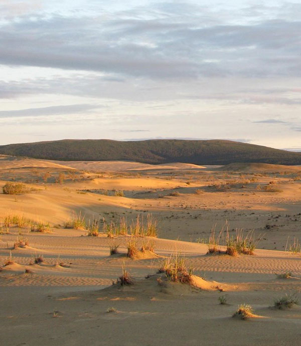 Sand Dunes