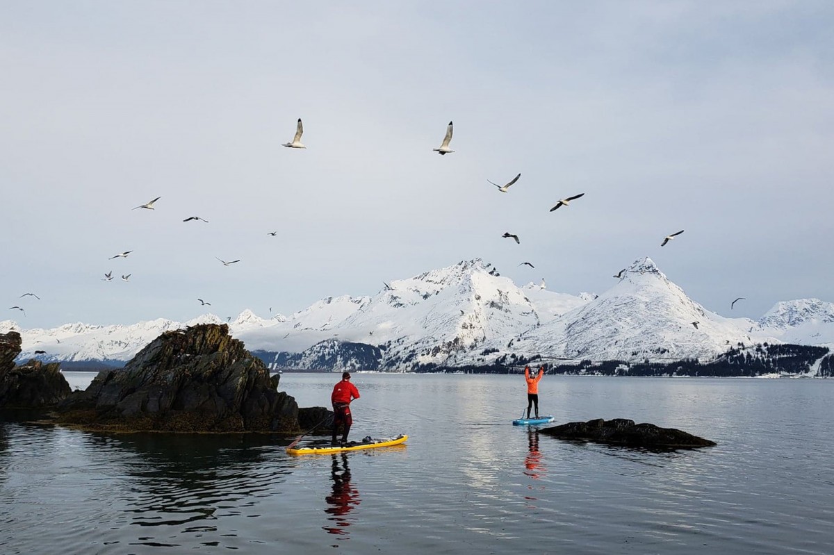 Birds fly about on a paddle boarding tour around the Mineral Creek Islands along Valdez.