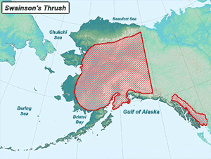Habitat of Swainson's Thrush in Alaska
