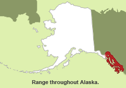 Habitat of Western Jumping Mouse in Alaska