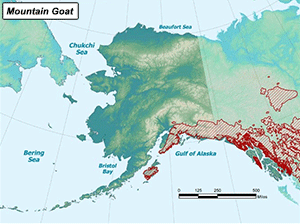 Habitat of Mountain Goat in Alaska