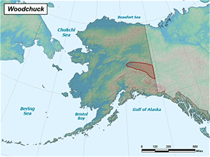 Habitat of Groundhog in Alaska