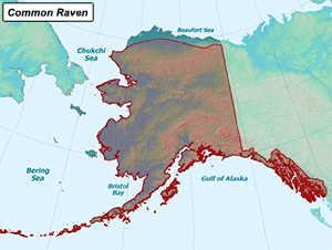 Habitat of Common Raven in Alaska