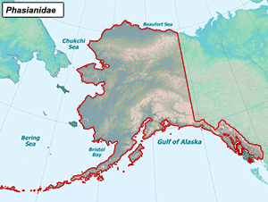 Habitat of Phasianidae in Alaska