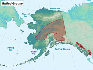 Habitat of Ruffed Grouse in Alaska