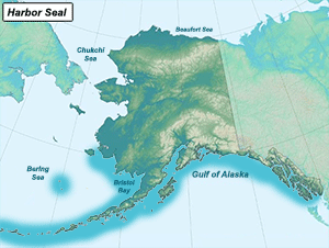 Habitat of Harbor Seal in Alaska