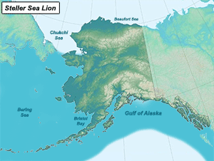 Habitat of Steller Sea Lion in Alaska