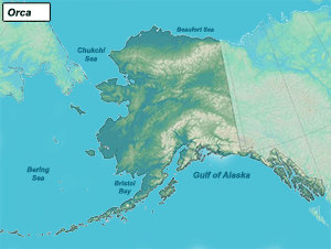 Habitat of Orca in Alaska