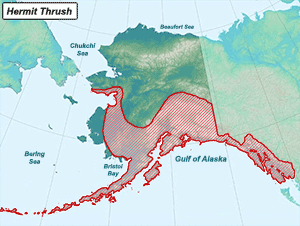 Habitat of Hermit Thrush in Alaska
