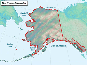 Habitat of Northern Shoveler in Alaska