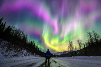 A man stands in amazement watching the northern lights dance above the Richardson Highway near Valdez.