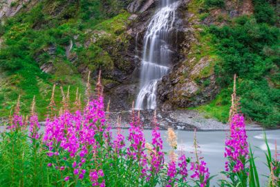 Valdez Sea to Sky Cruise Excursion