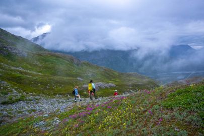 In July and August the alpine is full of wildflowers.