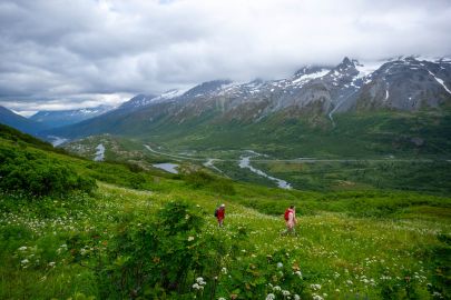 Hiking up, just entering the alpine.