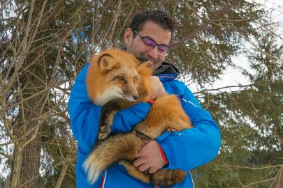 Get close to wildlife on your adventure tour. Really close.