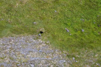 Spotting a black bear while flying out to the landing zone.