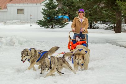 Getting to ride behind a dog sled.