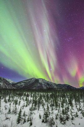 Watching the northern lights in the Alaska Range near Tok.