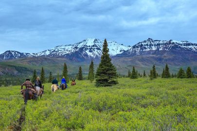 Guided trail rides through Wrangell-St. Elias National Park.