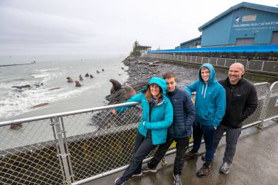 The best time to catch the sea lions at the hatchery is late August, and September.