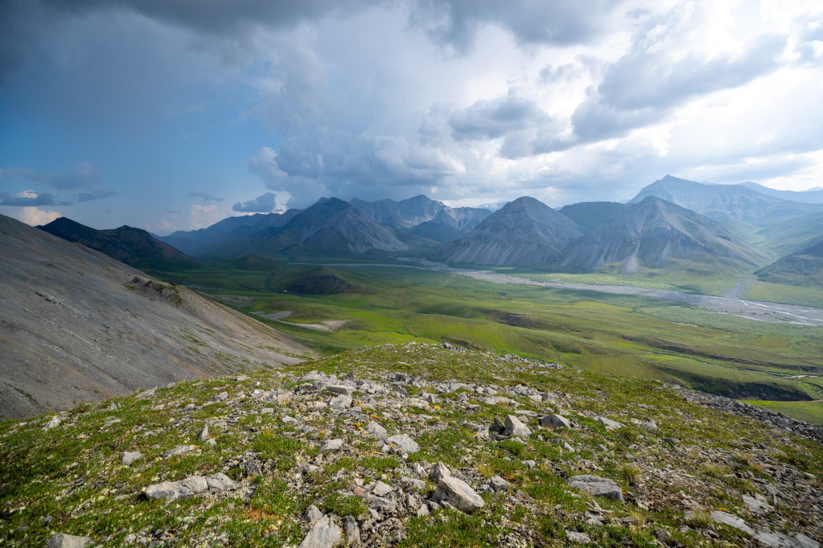 マッシュ・レイン／北極The Arctic Refuge Arctic National Wildlife Refuge | Arctic Wild