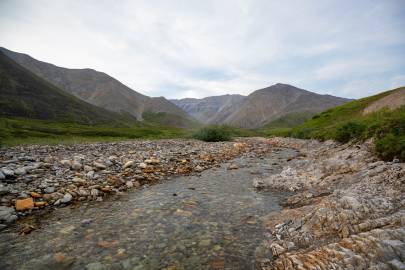 The last of the creek.