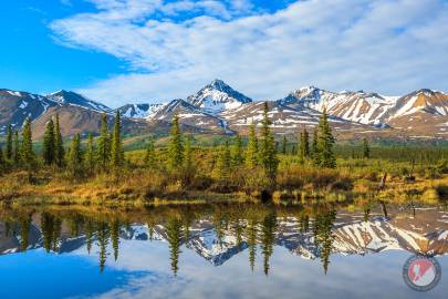 A unnamed pond off the side of the Denali Highway.