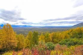 The view looking out towards Cook Inlet from Blueberry Knoll Trail.