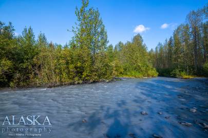 Corbin Creek as it enters the cotton woods flats shortly after it emerges from behind Hogsback.